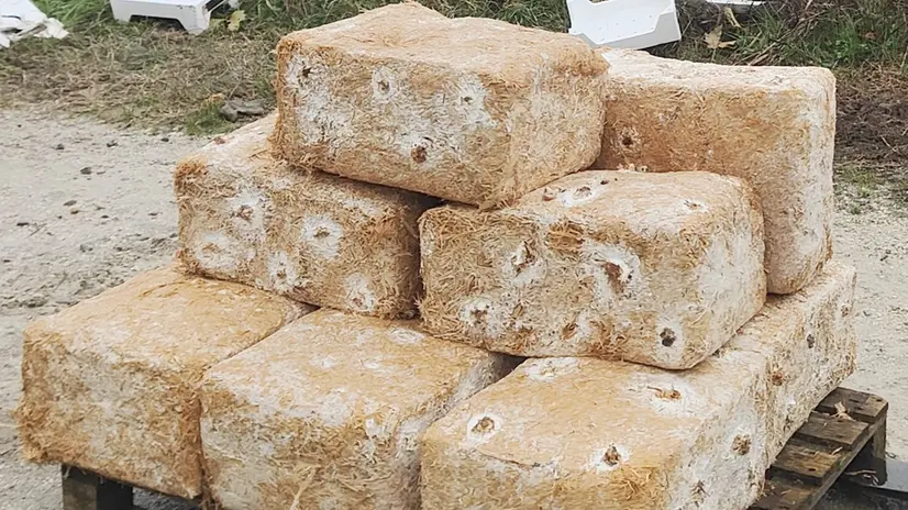 La trasformazione degli scarti in mattoni - © www.giornaledibrescia.it