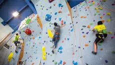 Ragazzi impegnati su una parete di arrampicata - © www.giornaledibrescia.it