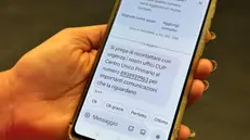 Il contenuto dell'sms fraudolento © www.giornaledibrescia.it