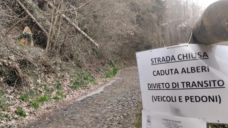 Strada chiusa per il rischio caduta alberi - © www.giornaledibrescia.it