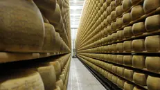 Forme di Grana Padano - © www.giornaledibrescia.it