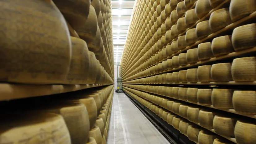 Forme di Grana Padano - © www.giornaledibrescia.it