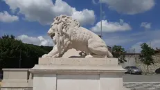 Leone della Chiesa di Santa Maria Assunta