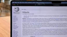 La pagina Wikipedia su Wikipedia