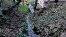 Alcuni volonterosi hanno liberato torrenti e anonimi potato piante e siepi - © www.giornaledibrescia.it