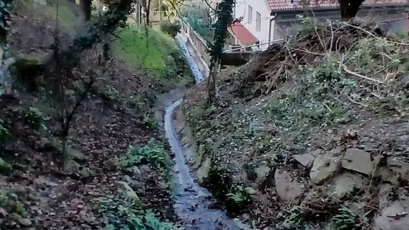 Alcuni volonterosi hanno liberato torrenti e anonimi potato piante e siepi - © www.giornaledibrescia.it