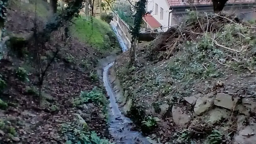 Alcuni volonterosi hanno liberato torrenti e anonimi potato piante e siepi - © www.giornaledibrescia.it