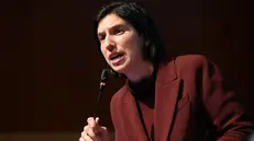 Elly Schlein - Foto Ansa © www.giornaledibrescia.it