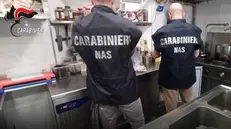 Carabinieri del Nas durante i controlli (foto di archivio) - Ansa © www.giornaledibrescia.it