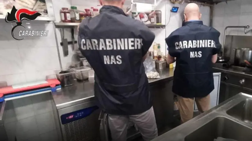 Carabinieri del Nas durante i controlli (foto di archivio) - Ansa © www.giornaledibrescia.it