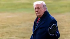 Donald Trump, presidente degli Stati Uniti - Foto Epa/Shawn Thew © www.giornaledibrescia.it