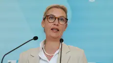 Alice Weidel, co-presidente di Afd - Foto Ansa © www.giornaledibrescia.it