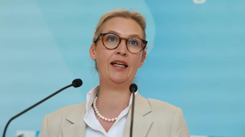 Alice Weidel, co-presidente di Afd - Foto Ansa © www.giornaledibrescia.it