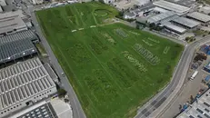 Il bosco didattico della Pianera