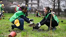 La messa a dimora nel 2024