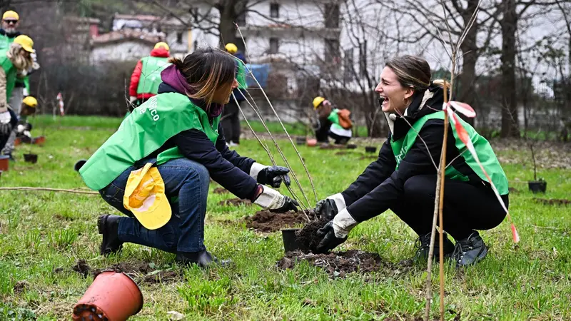 La messa a dimora nel 2024