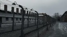 Verso la Giornata della Memoria