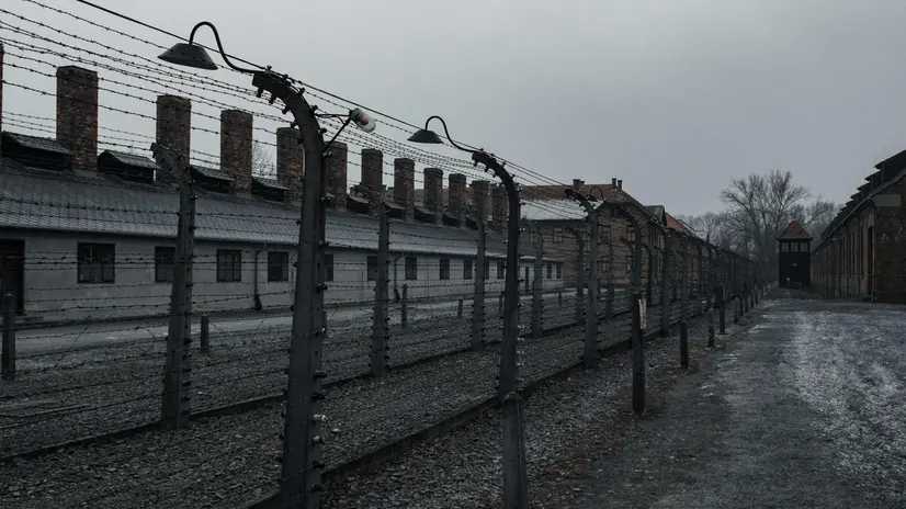 Verso la Giornata della Memoria