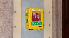 Un defibrillatore Dae - Foto tratta da www.incampoconilcuore.it