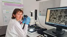 La docente e ricercatrice dell'Università di Brescia Elza Bontempi - © www.giornaledibrescia.it