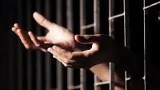 Una delle fotografie di Roberto Ridi