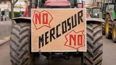 Un agricoltore che protesta contro il Mercosur a Bruxelles - Foto Ansa © www.giornaledibrescia.it