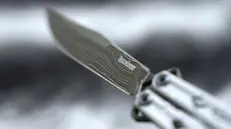 Un coltello a farfalla