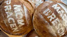 La pagnotta Mompracen - Foto Aromi.group