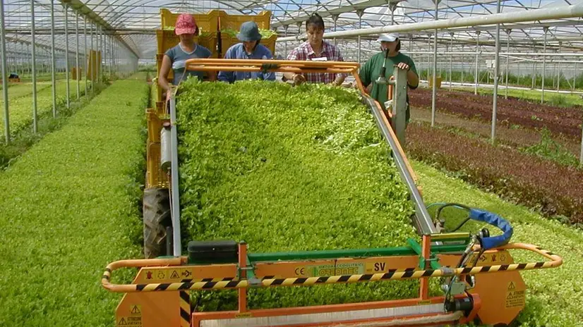 Un'azienda del settore agroalimentare - © www.giornaledibrescia.it