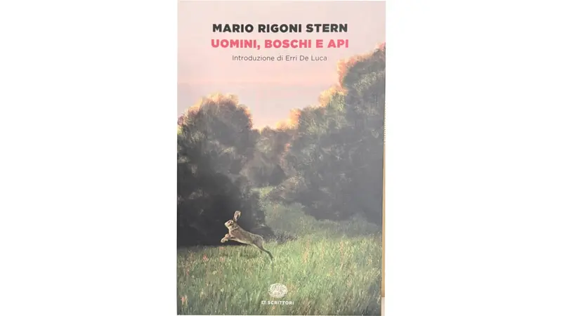 La copertina di Uomini, boschi e api