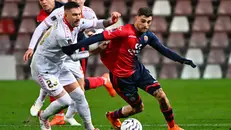 Serie C, gli scatti di Triestina-Lumezzane