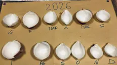 Le cipolle di Giulio Grumi per le previsioni del 2026 - © www.giornaledibrescia.it