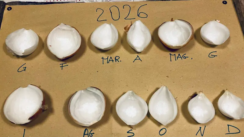 Le cipolle di Giulio Grumi per le previsioni del 2026 - © www.giornaledibrescia.it