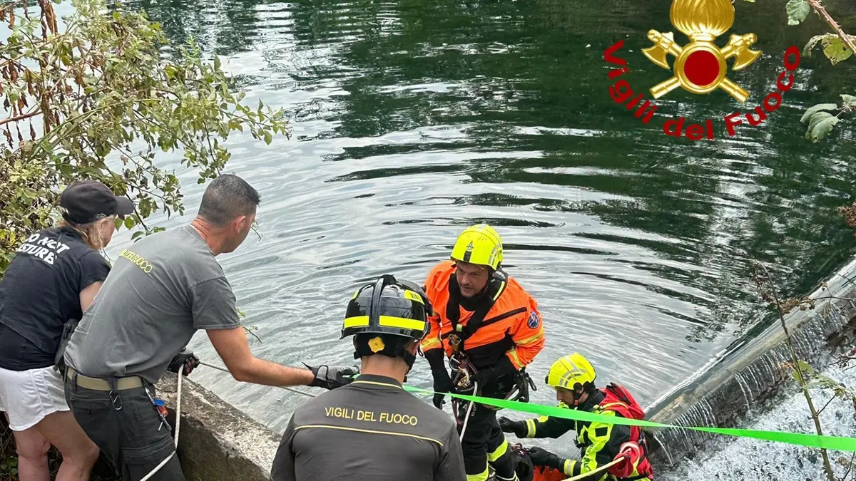 Si tuffa per salvare il cane, uomo annega in un canale | Giornale di ...