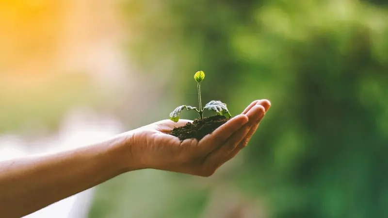 Ecco tutti i vantaggi di un’alimentazione con meno carne e più consapevolezza