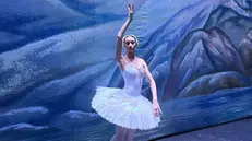 Baduini prima di entrare in scena nel Lago dei Cigni