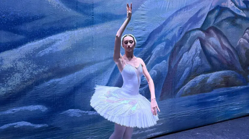 Baduini prima di entrare in scena nel Lago dei Cigni