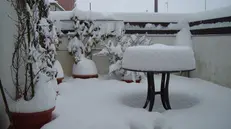 La neve caduta a Fornaci il 26 e il 27 gennaio 2006 - Foto Fabio Marenda © www.giornaledibrescia.it