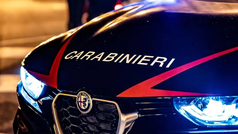 L'uomo è stato fermato dai carabinieri - Foto Ansa © www.giornaledibrescia.it