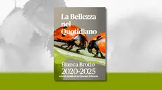 «La bellezza nel quotidiano» di Bianca Brotto