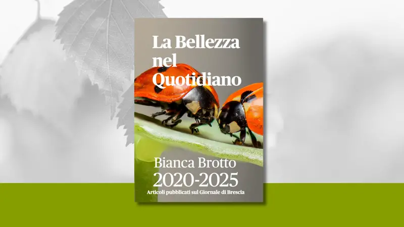 «La bellezza nel quotidiano» di Bianca Brotto