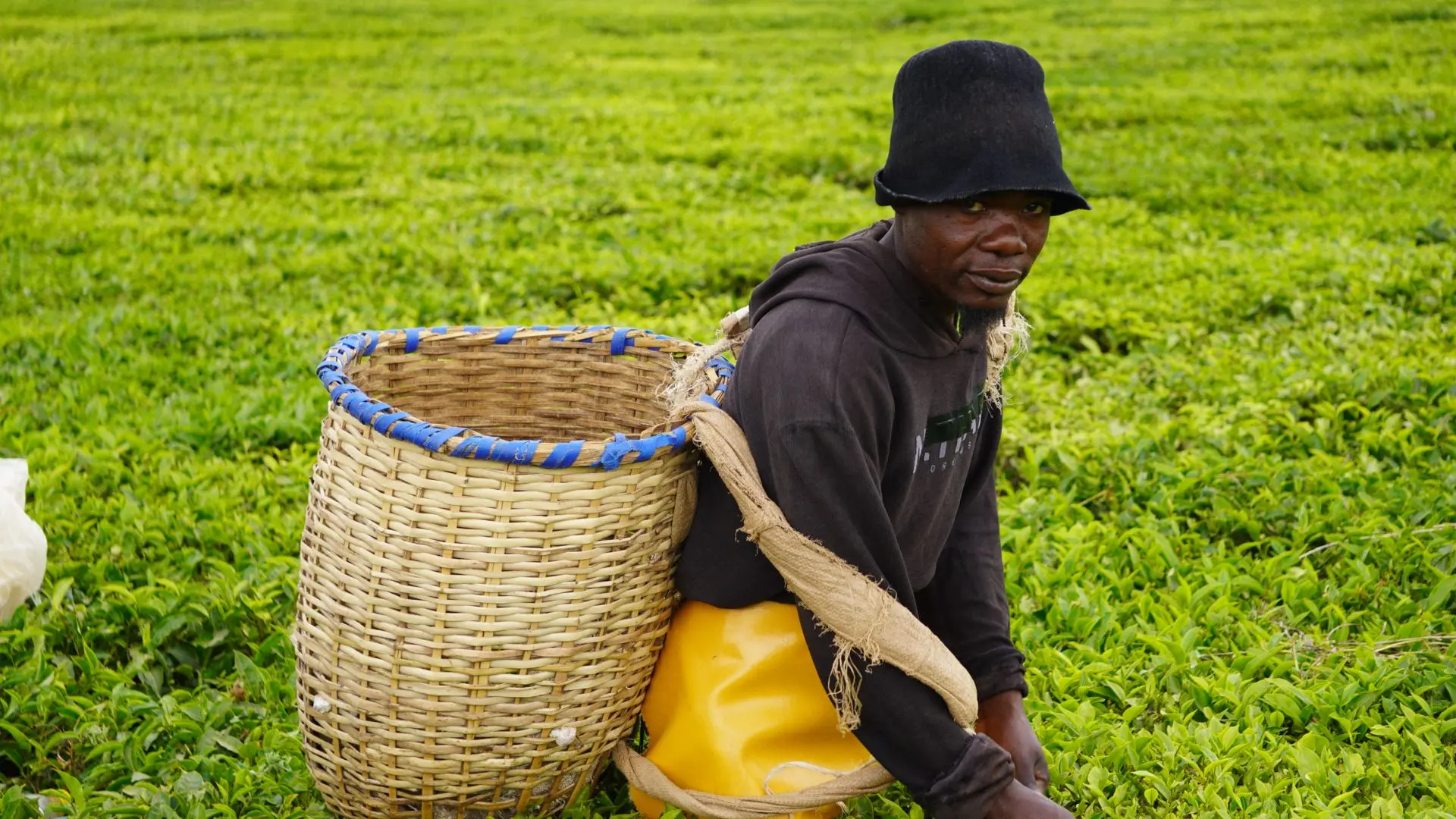 Discovery Kenya, tappa alle Nandi Hills