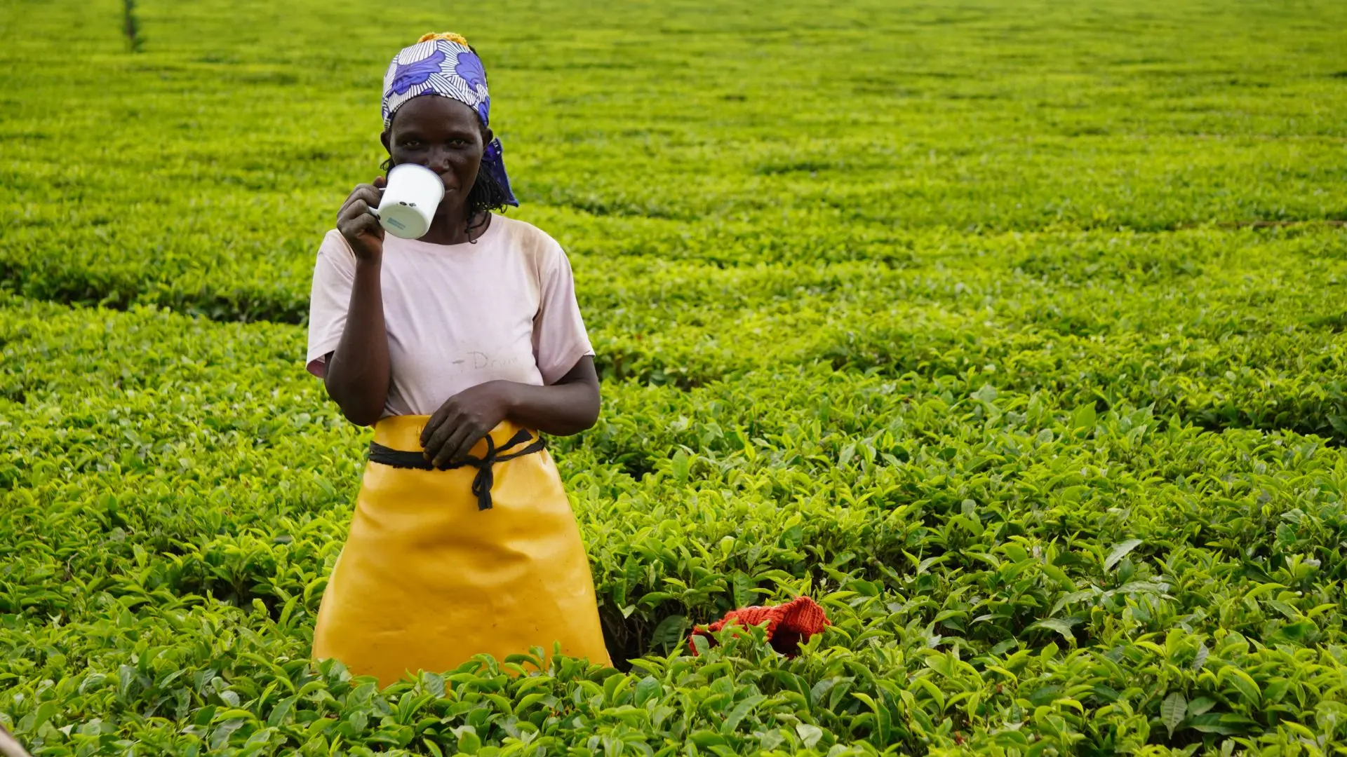 Discovery Kenya, tappa alle Nandi Hills