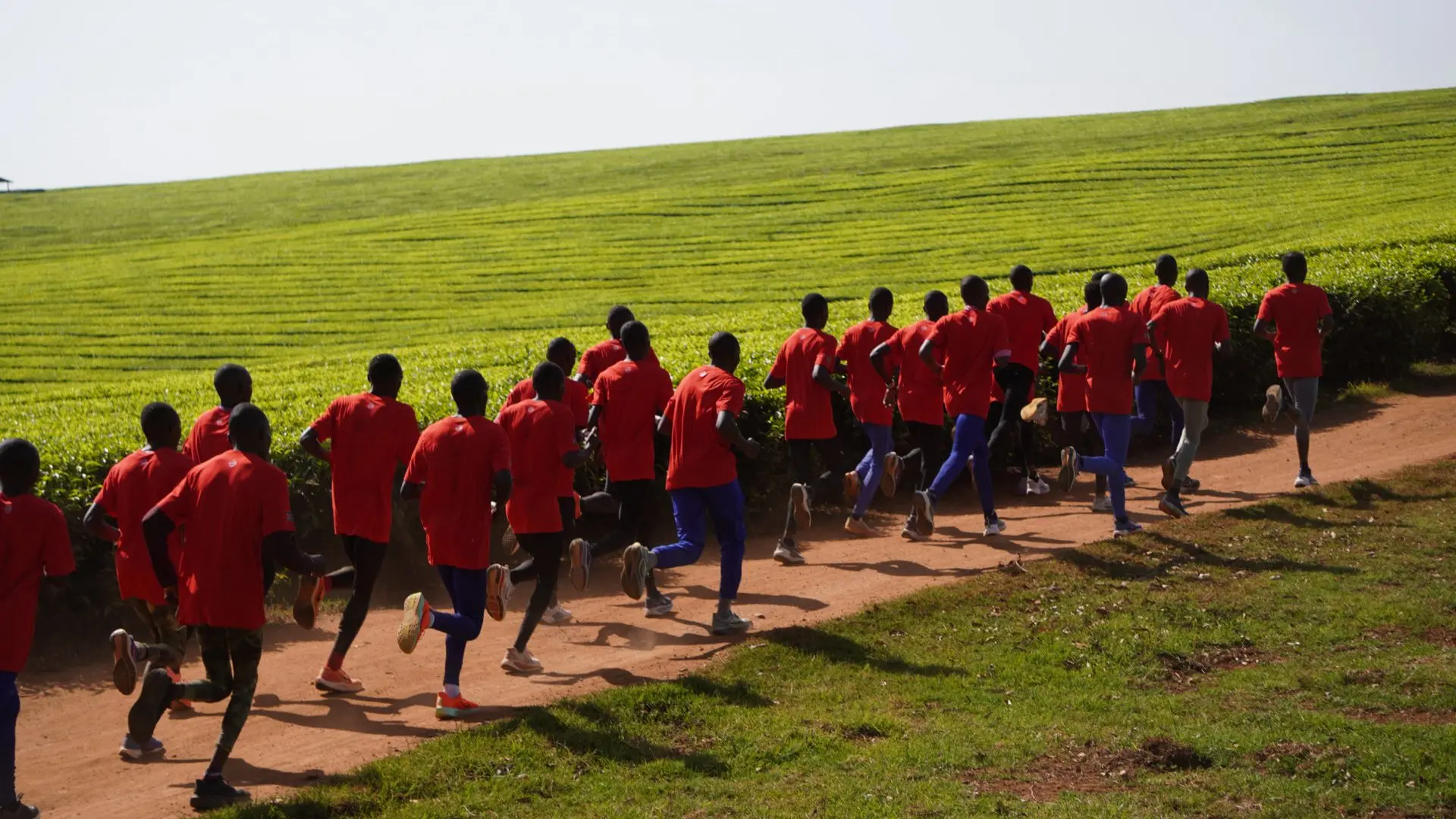 Discovery Kenya, tappa alle Nandi Hills