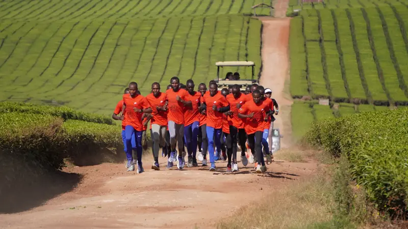 Discovery Kenya, tappa alle Nandi Hills