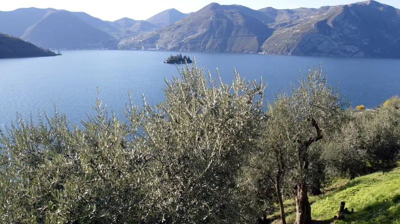 Panoramica lago d'Iseo -  Foto New Eden Group © www.giornaledibrescia.it