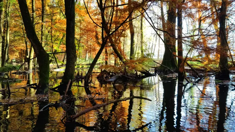 Immagine di un paesaggio naturale