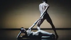 La Nederlands Dans Theater 2 - Foto Rahi-Rezvan