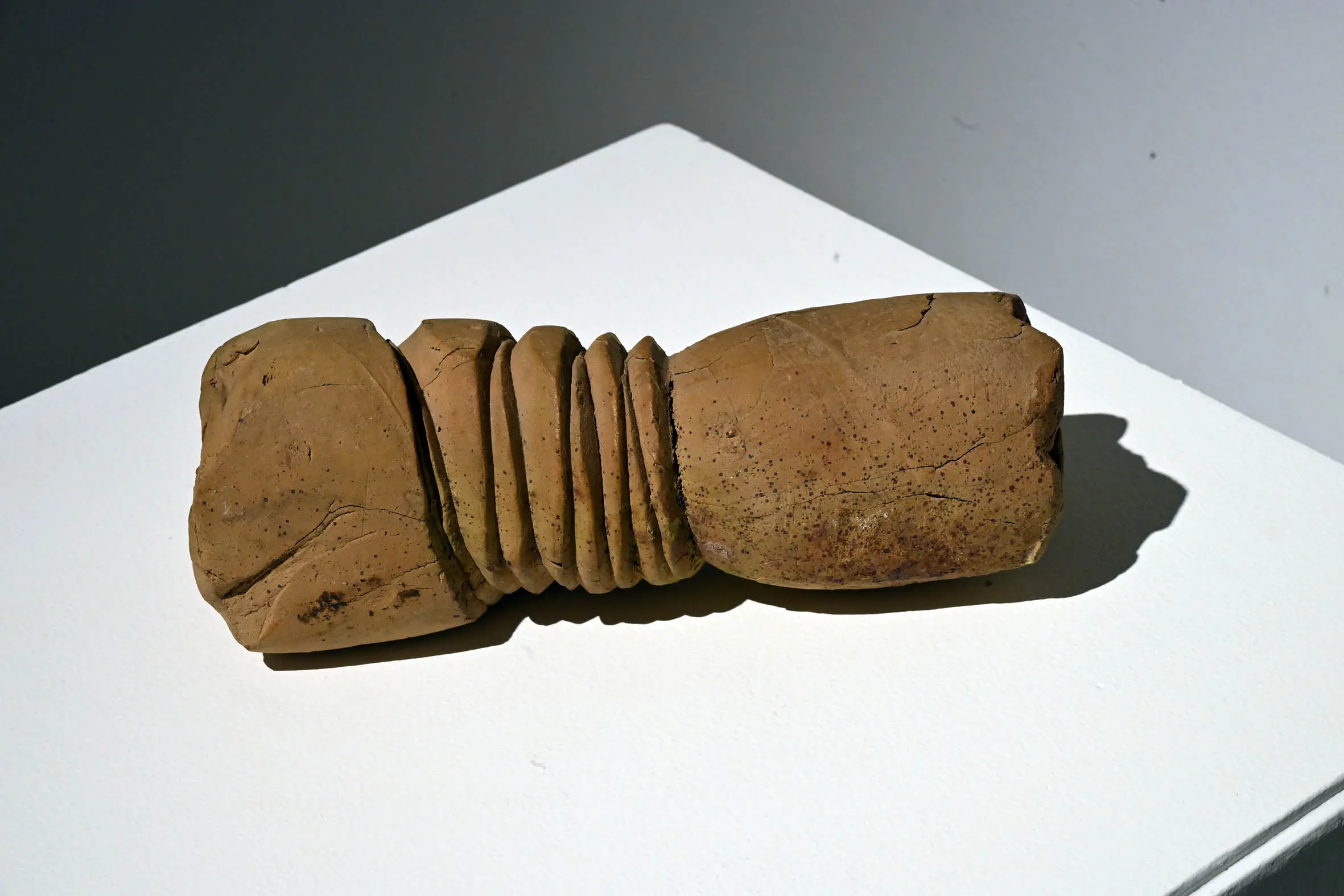 SPETTACOLI BRESCIA GALLERIA MASSIMO MININI MOSTRA LIVE WIRES  NELLA FOTO OPERE 29/01/2026 newreporter©favretto