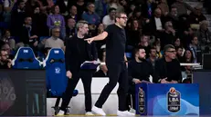 Matteo Cotelli, coach della Germani - © Checchi@newreporter